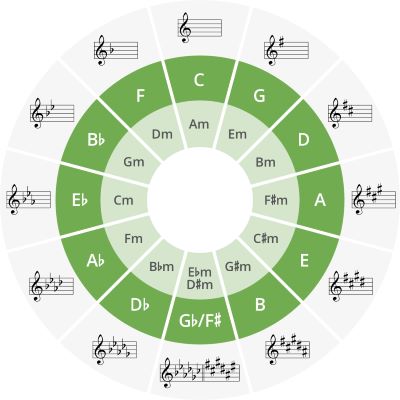 les privat gitar bass
